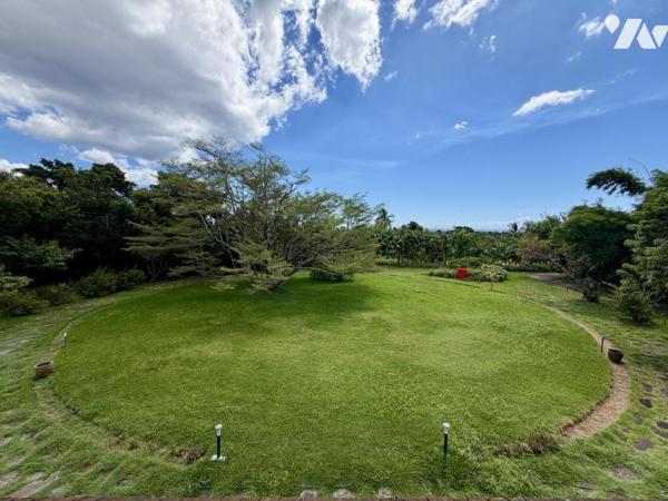 STE MARIE DUPARC TERRAIN A BATIR DE PLUS DE 10 000m² 