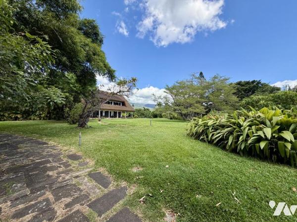 STE MARIE DUPARC TERRAIN A BATIR DE PLUS DE 10 000m² 