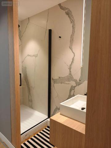 Achat - Appartement Lille 59000 5 pièces 135 m 2