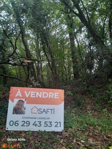 Magnifique terrain boisé constructible