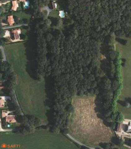 Magnifique terrain boisé constructible