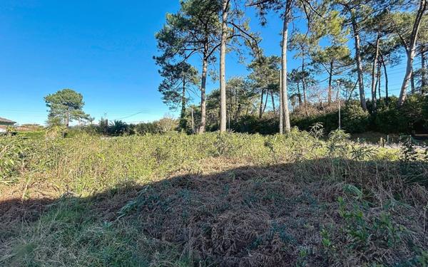 Terrain à vendre    Anglet