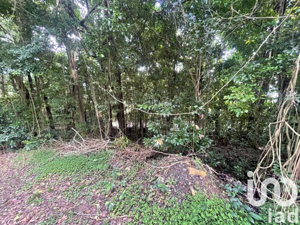 Terrain à vendre 1 154 m² La Trinité