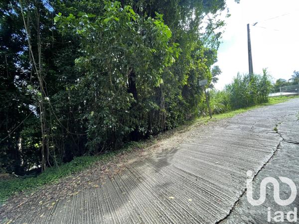 Terrain à vendre 1 154 m² La Trinité