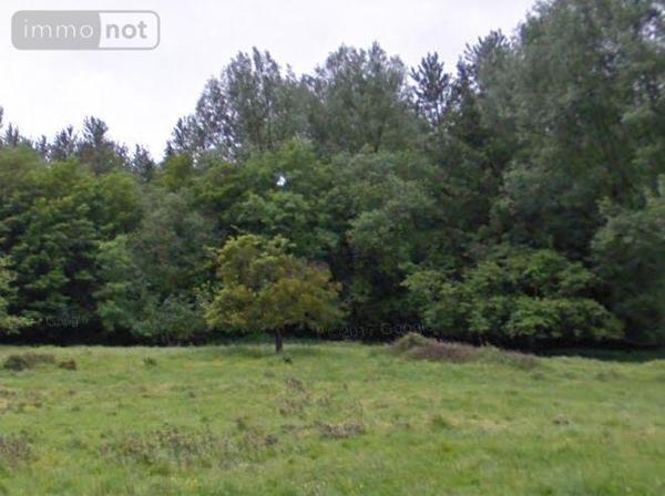 Terrain à Batir à vendre à Fressin dans le Pas-de-Calais (62140), ref : 62071-484