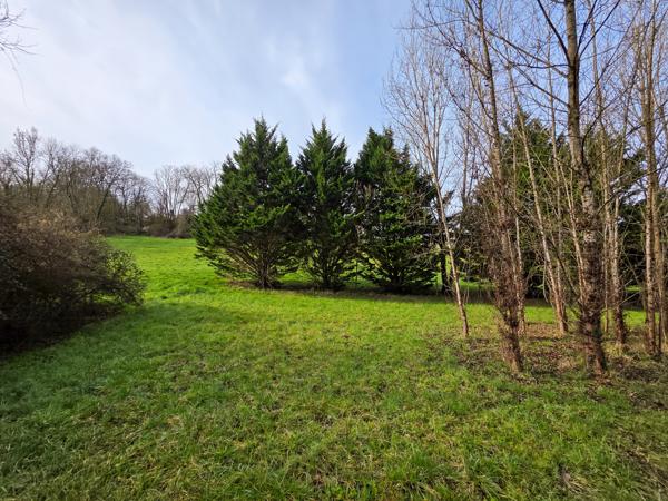 Terrain - 1527 m²