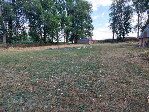 Ancien corp de ferme  7150 m²