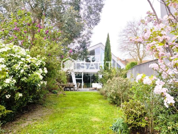 semi plain pieds de 2014