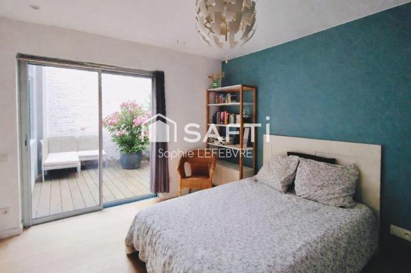 semi plain pieds de 2014