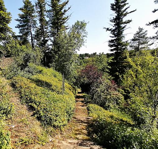 DANS UN CADRE EXCEPTIONNEL, AUX PORTES DE POITIERS ET DU CHU