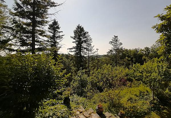 DANS UN CADRE EXCEPTIONNEL, AUX PORTES DE POITIERS ET DU CHU