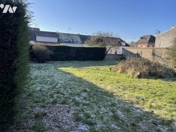 terrain constructible