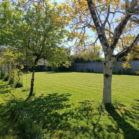 Terrain - 506 m²