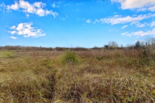 St Malo - Terrain à batir dans quartier prise de Rotheneuf à coté des plages
