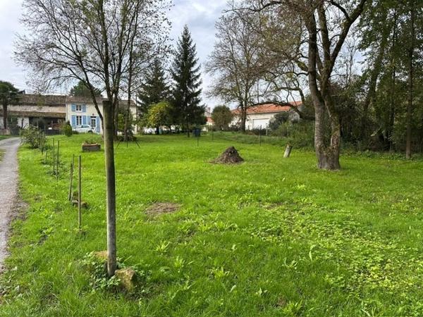 Brives-sur-Charente (17800) 

Située dans un hameau de Brive-sur-Charente, cette maison de style longère vous séduira par son charme et son