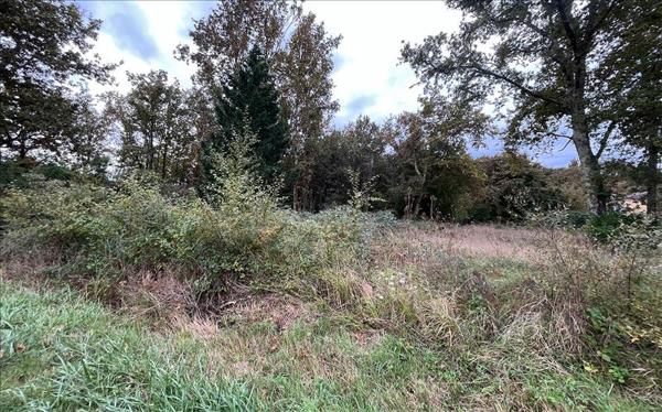 Terrain à vendre |  Le Taillan-Médoc |  656 m²