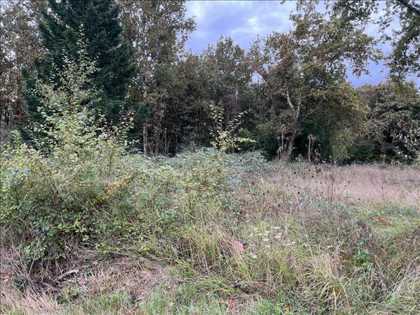 Terrain à vendre |  Le Taillan-Médoc |  656 m²