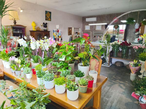 Local commercial à vendre |  Marseille 09 |  |