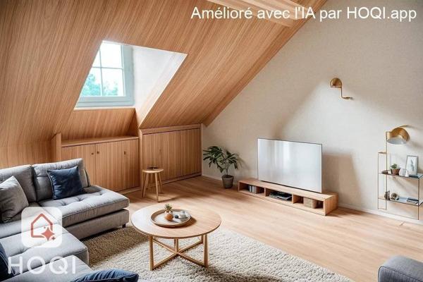 Maison dans un village charmant, NOUANS les FONTAINE 37460 près du ZOO de BEAUVAL