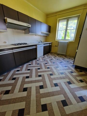 MAISON T10 à vendre proche NANCY (54) MAISON de Maître avec LOCAL, TERRASSE, GARAGE et TERRAIN