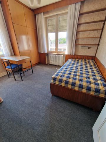 MAISON T10 à vendre proche NANCY (54) MAISON de Maître avec LOCAL, TERRASSE, GARAGE et TERRAIN