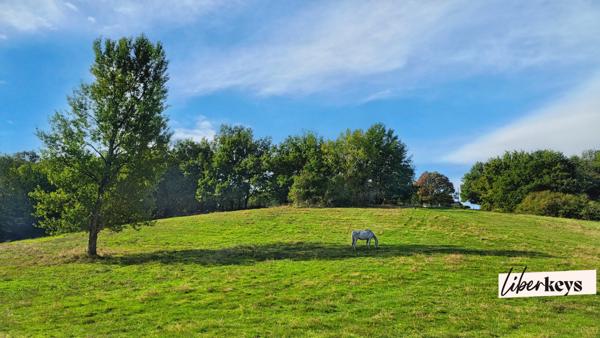 Rare à la vente – Parc clos de 8 hectares avec bâti cadastré, eau et électricité – Idéal élevage ou loisirs