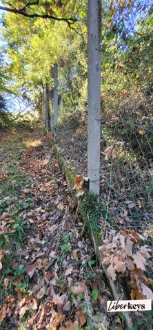 Rare à la vente – Parc clos de 8 hectares avec bâti cadastré, eau et électricité – Idéal élevage ou loisirs