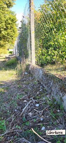 Rare à la vente – Parc clos de 8 hectares avec bâti cadastré, eau et électricité – Idéal élevage ou loisirs