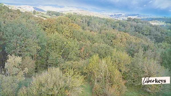 Rare à la vente – Parc clos de 8 hectares avec bâti cadastré, eau et électricité – Idéal élevage ou loisirs