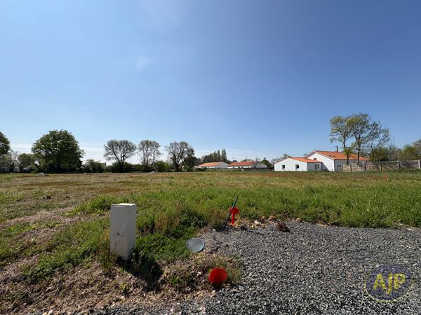 Vente terrain Challans : 74 000 € - AJP Immobilier Challans