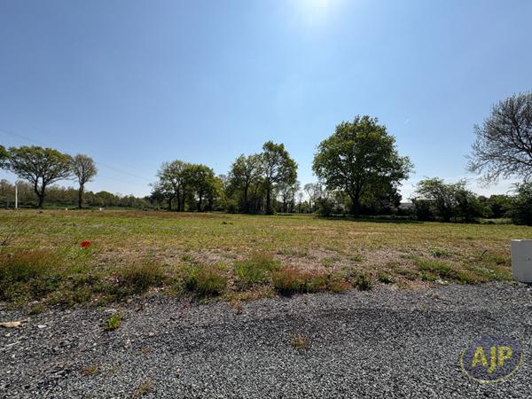 Vente terrain Challans : 74 000 € - AJP Immobilier Challans