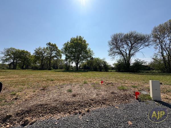 Vente terrain Challans : 74 000 € - AJP Immobilier Challans