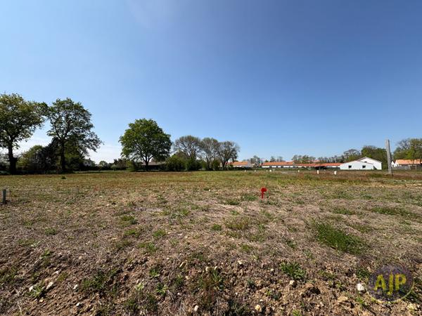 Vente terrain Challans : 74 000 € - AJP Immobilier Challans