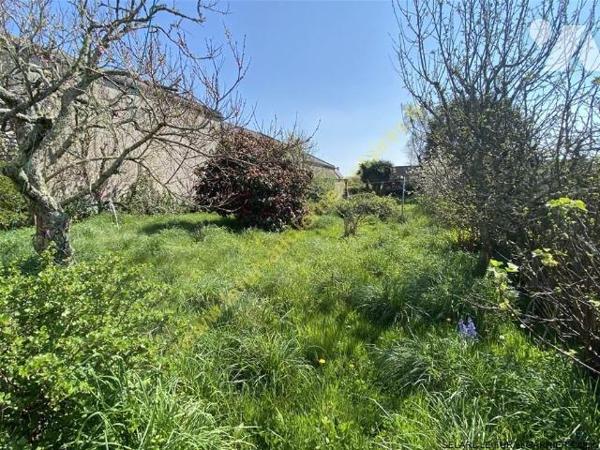 Maison en pierre de 1965 avec beau jardin plein Sud