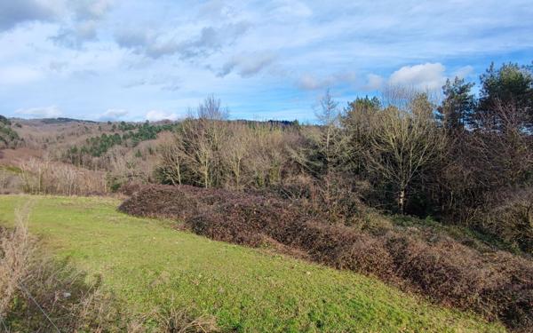 Terrain à vendre    Pont-de-Larn