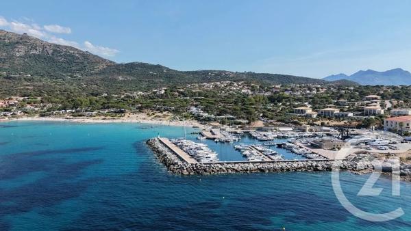 Appartement F2 à vendre  2 pièces - 44,50 m 2   L ILE ROUSSE  - 202