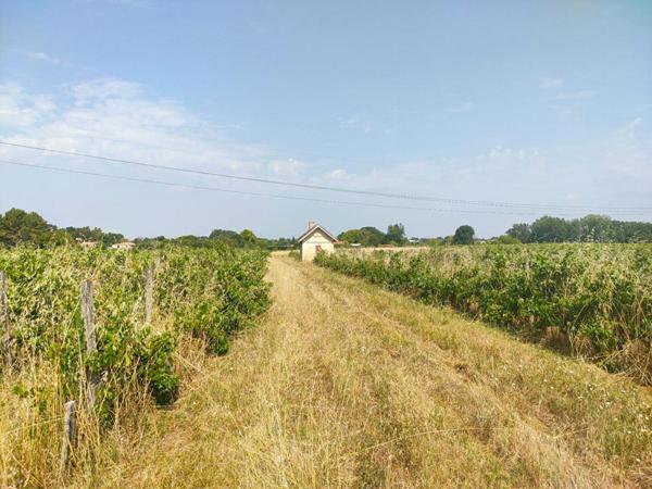 TERRAIN AGRICOLE 3.13 HECTARES