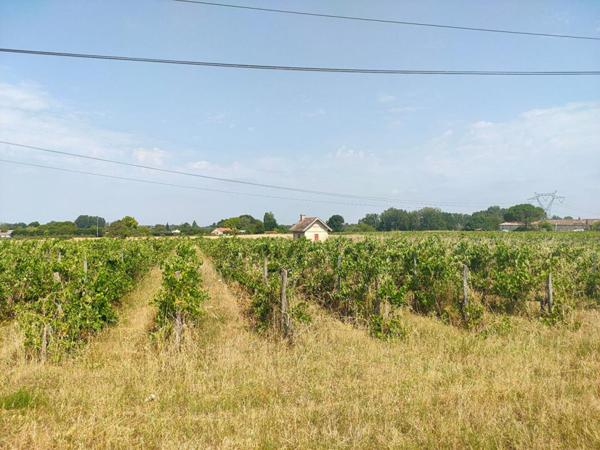 TERRAIN AGRICOLE 3.13 HECTARES