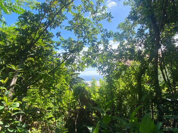 Terrain à vendre MOUFIA (974)