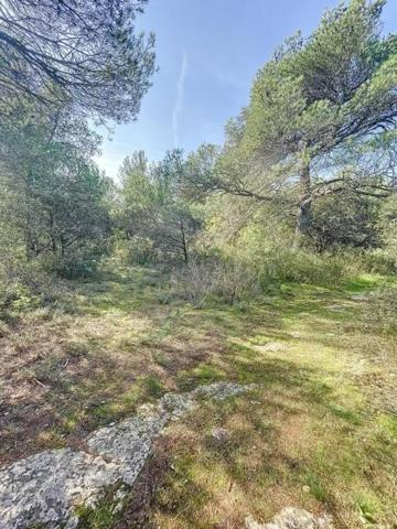 Terrain boisé de 6.150 m2