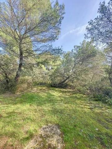 Terrain boisé de 6.150 m2