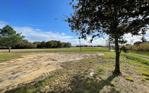 Terrain à vendre    Saint-Sever