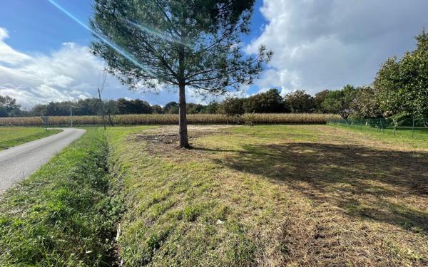 Terrain à vendre    Saint-Sever