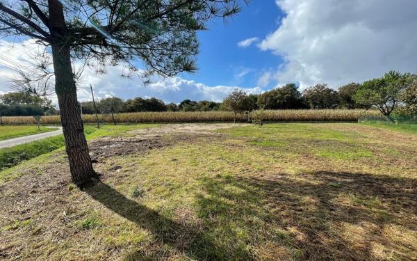 Terrain à vendre    Saint-Sever