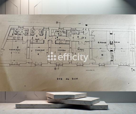 Maison 16 pièces - 434 m² Bien prestige