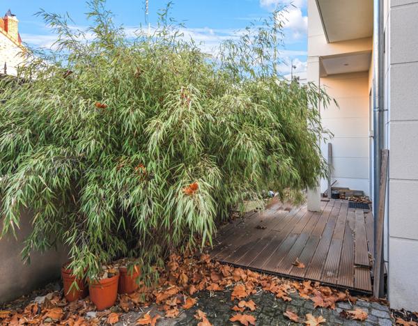 Maison 7 pièces - 264 m² Bien prestige