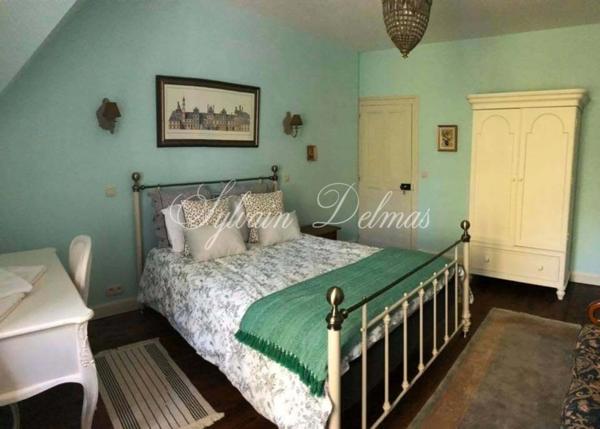 Propriete à vendre 11 pièces LANGEAIS (37)
