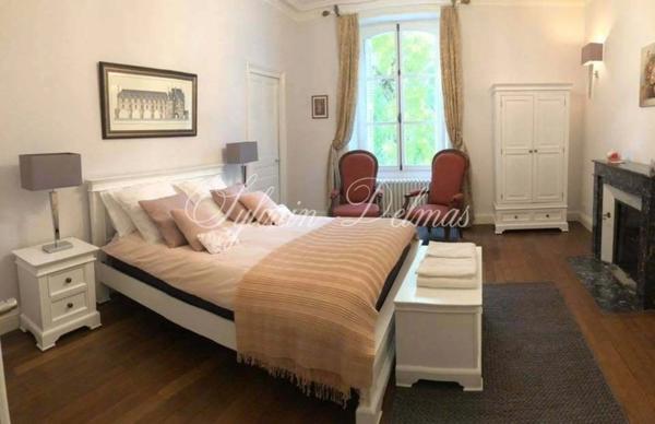 Propriete à vendre 11 pièces LANGEAIS (37)