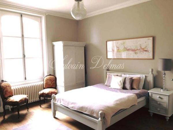 Propriete à vendre 11 pièces LANGEAIS (37)
