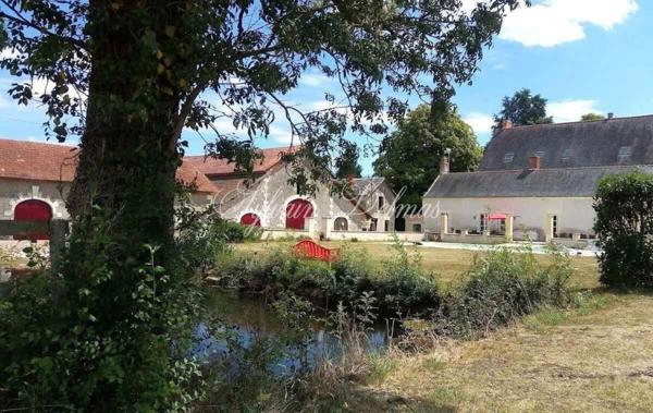 Propriete à vendre 11 pièces LANGEAIS (37)